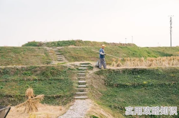 国产农村户外妇性视频展现乡村生活中的真实情感与自然风光