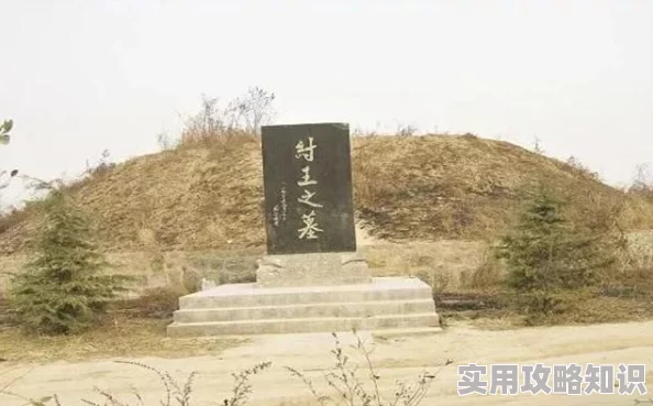 王权与自由国服代理揭晓：网友热议其选择与服务质量评价如何？