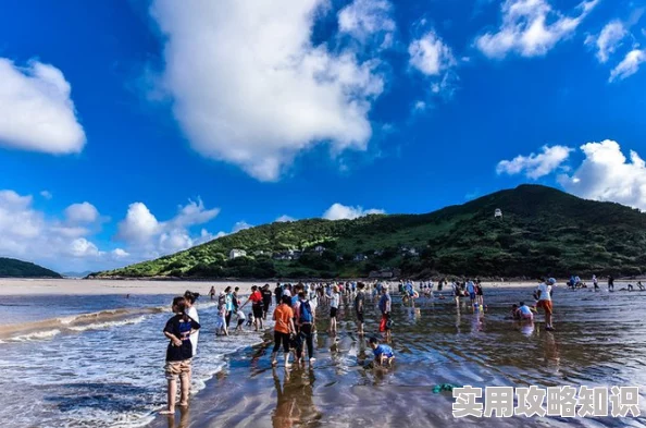 中国新疆XXXXXL19-2021海、渔村和三个笨蛋