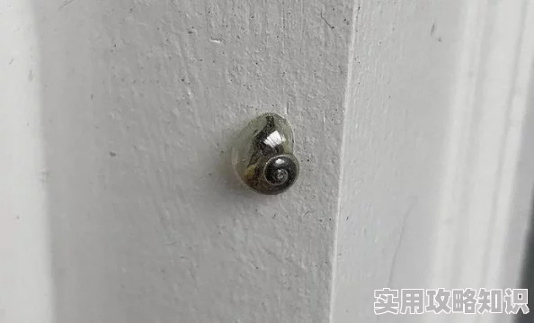 西西人体大胆啪啪实拍图片展示真实自然的身体艺术表达