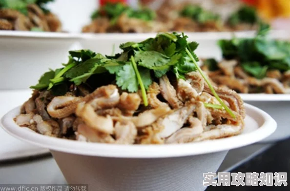老鸭窝毛片是指老北京的一种传统美食小吃