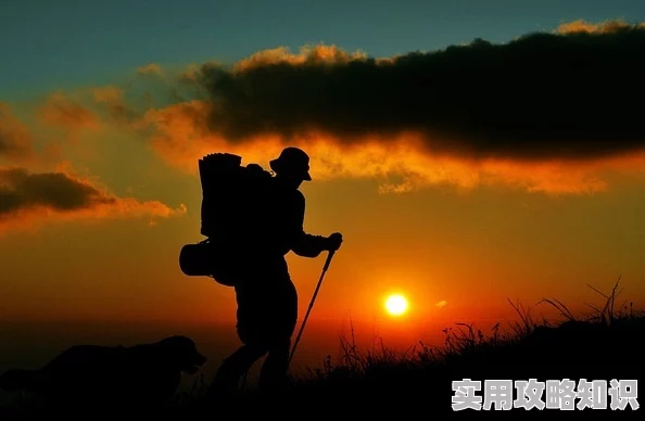 啊好大啊赎罪旅行心灵的救赎让我们勇敢面对过去拥抱未来